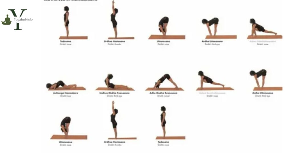 Vinyasa Multiple Meanings