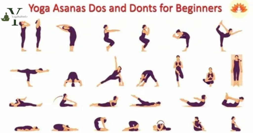 Overview of the yoga sequences and poses taught