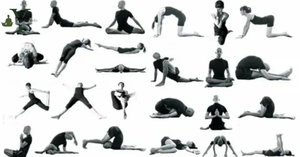 5 People Yoga Pose 