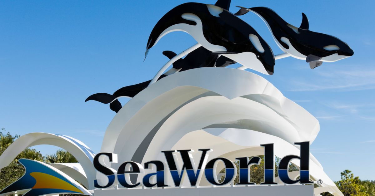 The Ultimate Guide to SeaWorld Orlando Opening Hours 2024